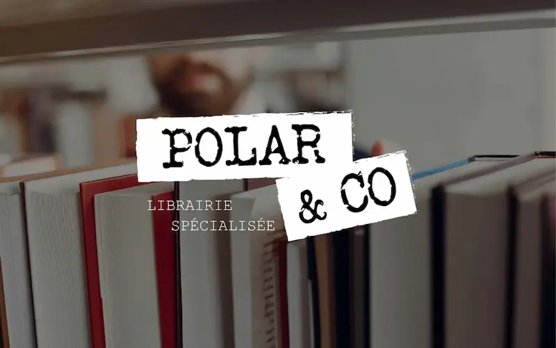 charte graphique identité visuelle Polar Co Illustrator graphisme